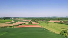 Landschaft bei Buchholz