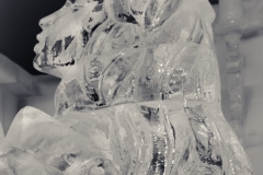 Féérie de Glace 17