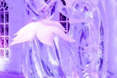 Féérie de Glace 21