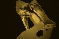 Féérie de Glace 22