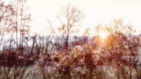 Natur in Pastell - Nature in Pastel