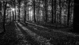 Sonne und Schatten - Sun and Shadows