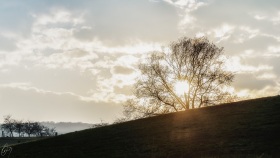Sonne hinter einem Baum - Sun behind a tree