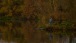 Fischer - Fisherman