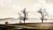 Zwei Bäume auf dem Flur - Two trees countryside