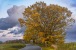 Strasse und Bäume im Herbst