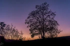 In der blauen Stunde