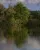 Herbst an der Mosel