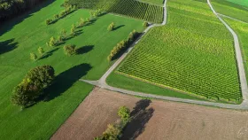 Felder und Weinberge