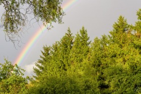 Regenbogen - Rainbow