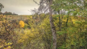 Durchblick - Picturesque view.