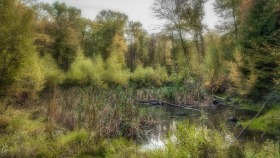 "Intepéilchen" bei Greiweldingen / "Intepéilchen" near Greiveldange