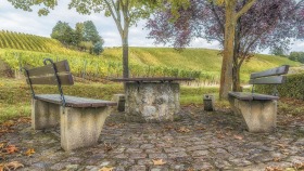 Rastplatz - Resting Place