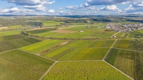 Trapeze in der Landschaft - Trapezes in the Landscape