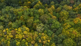 Mitte Oktober über dem Wald