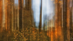 Falling Sky