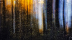 Goldener Schein