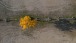Gelber Baum