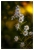 Herbstfarben