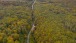 Strasse durch den Wald