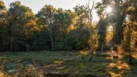 Herbstsonne