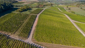 Strukturen in der Landschaft