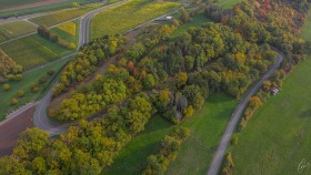 Primerberg bei Greiweldingen