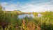 Herbstlandschaft