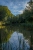 Teich im Wald
