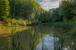 Anfang Oktober: Weiher im Wald