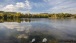 Zwei Schwanen ruhen im See