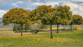 Primerberg bei Greiweldingen
