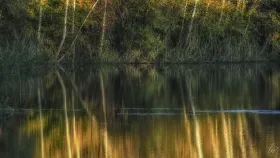 Herbstimmung