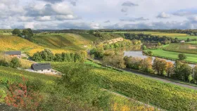 Das Moseltal im Herbstkleid