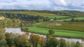 Das Moseltal im Herbst