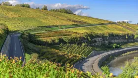 Weinberge und Strassen zwischen Stadtbredimus und Greiweldingen