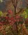 Herbststimmung