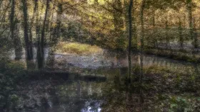 Kunst im Wald
