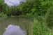 Weiher im Wald
