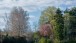 010 A day in April