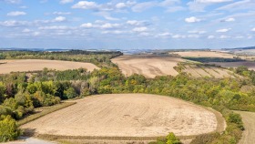 Felder über dem Moseltal - Fields above the Moselle Valley