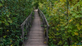 Holzbrücke - Wooden Bridge