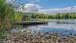 Am See - At the lake