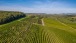 Weinberge und Wald
