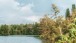 Nachmittags beim Weiher