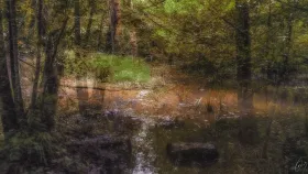 Kunst im Wald