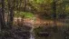 Kunst im Wald