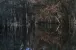 Versteckter Weiher