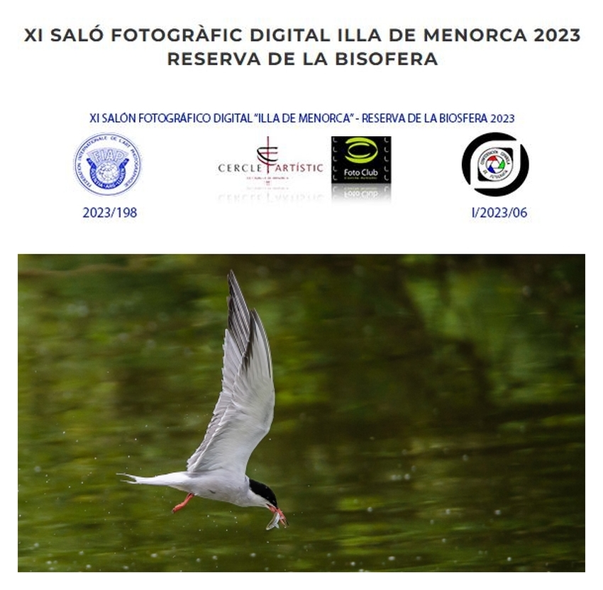 FOTO CLUB CERCLE ARTISTIC CIUTADELLA; XI Salon Fotografico Digital Illa de Menorca - Reserva de Biosfera 2023; Seagull; Möwe; Paul Hilbert