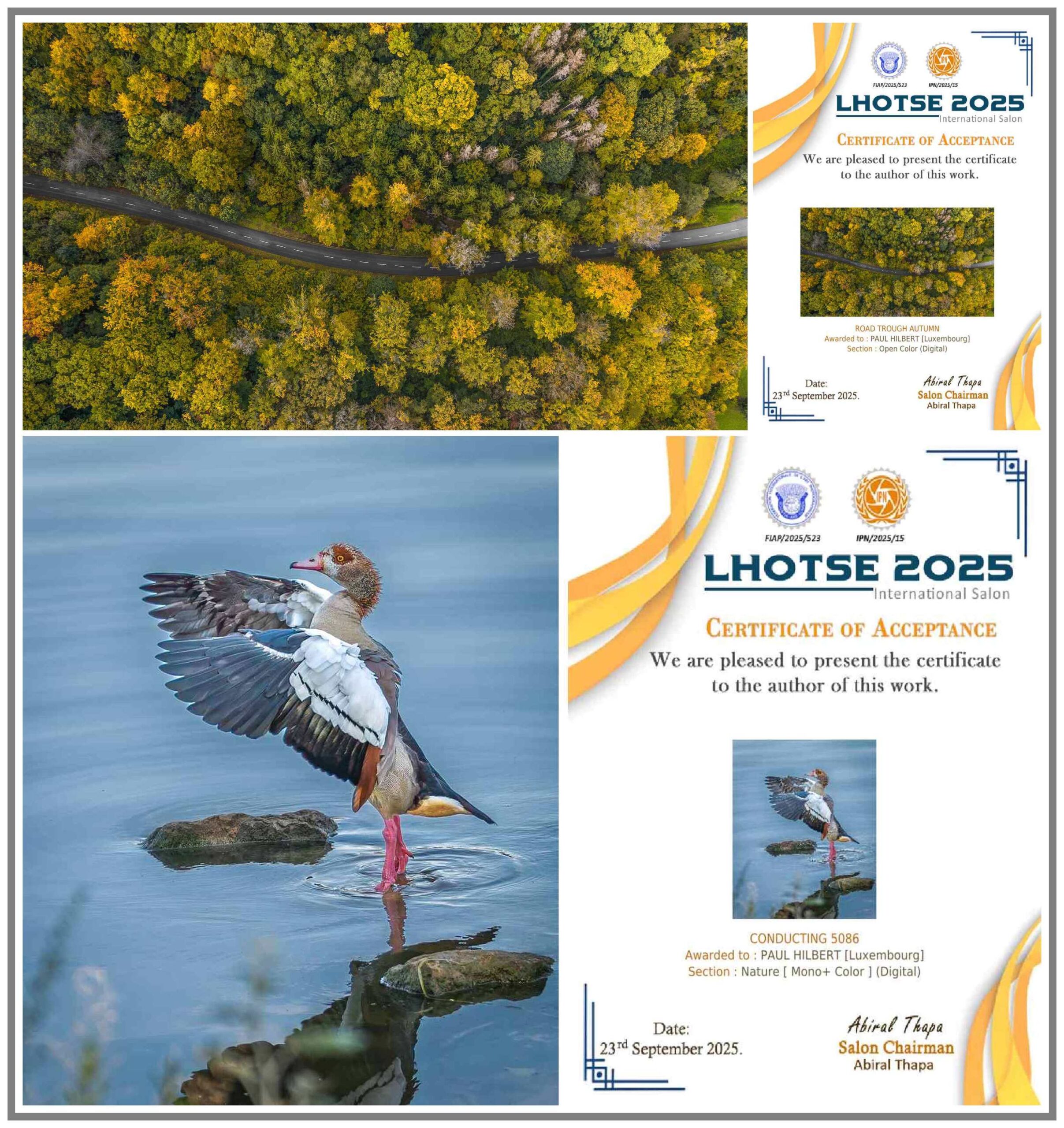 NEPAL PHOTO HOUSE; LHOTSE International Salon - 2025; Autumn forest; Herbstwald; Egyptian Goose; Nilgans; Paul Hilbert